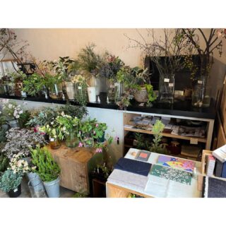 2025.11.29

こんにちは

本日も@tocohaflowerさんの店先にお邪魔してます
最終日です
16:00までです
ぜひお立ち寄りください

@kami.hako さんのカルトナージュ作品
帛紗は普段使いできますよ
折れたら困る紙や封筒を入れたりとカバンの中で迷子にならなくて使い勝手が良いですよ☺️

窯出しホヤホヤの新作のキノコのような高高台のお皿、カレー皿、さといもしりーず、お茶碗は全色揃っています
クリスマスツリーが好評で残り少なくなってきましたが
お好みをまだ選んでいただけます

tocoha flower
京都府乙訓郡大山崎町大山崎尻江５５−１４

#tocohaflower
#あずきるん
#大山崎