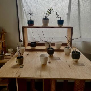 2026.3.18

こんにちは

盆と栽
tocohaflowerさんで
はじまってまーす

3月18日(水)〜21日(土)
11:00〜16:00
場所　@tocohaflower

今日は @kikkake_coffee_stand  さんのコーヒーが飲めますよ

@keitsubame さんの消しゴムハンコのワークショップ
素敵な作品が作れますよ

塩津植物研究所の植木を
あずきるんの鉢で育ててみませんか
小さな鉢に小さな植木なので
始めやすいと思いますよ

見るだけでもぜひお立ち寄りください